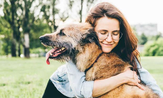 Things you need to know when adopting a senior pet