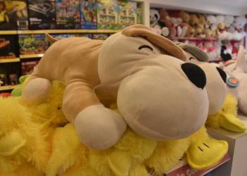 Camera Catches Clever Dogs Teaming Up To Rob A Toy Store