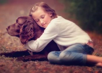 The psychology of grief: Why losing a pet dog or cat is like losing a family member