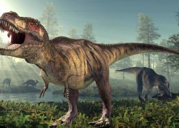 Some dinos may have been as brainy as modern primates, controversial study argues