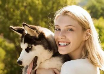 What is the worst thing that a dog can do?