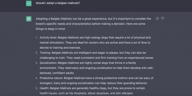 text features Chat GTP's answer on whether to adopt a belgian malinois
