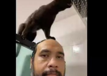 Pet cat stands on top of human’s head to drink water from shower as he takes a bath