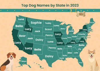 Inforgraphic of the top dog names by state in 2023.