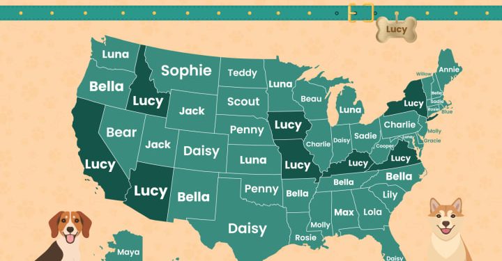 Inforgraphic of the top dog names by state in 2023.
