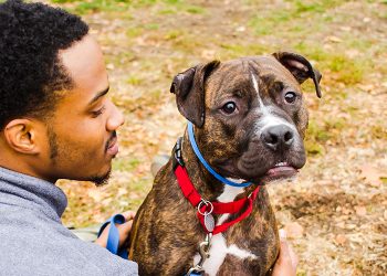 Pet Frequently Asked Questions